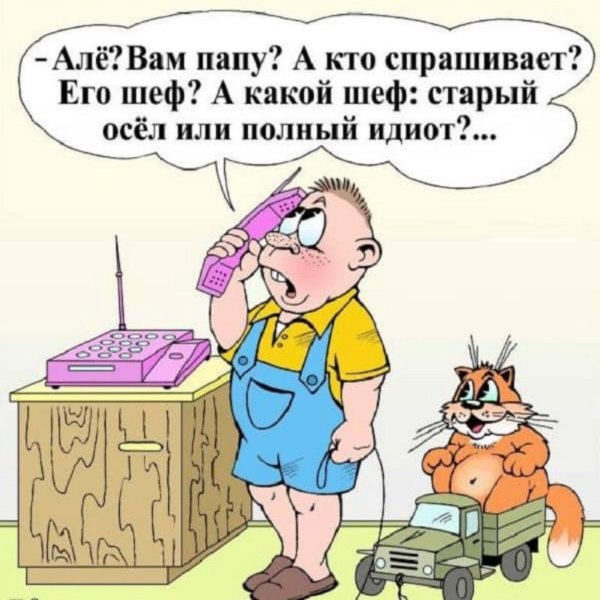 анекдот про