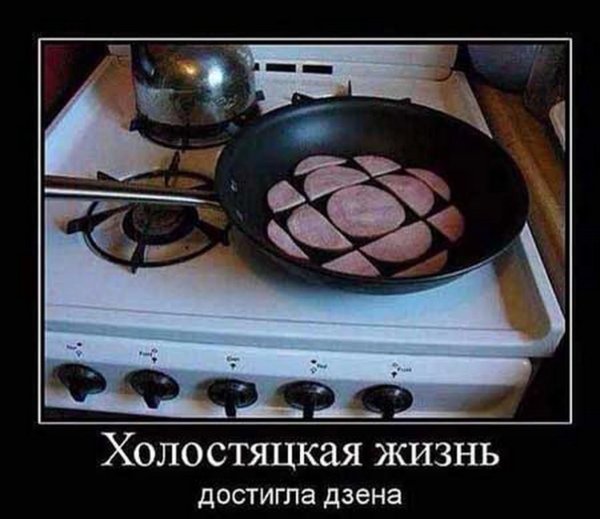 жизнь холостяка