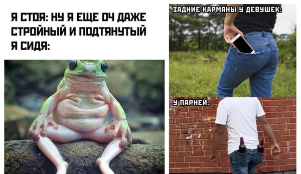 прикольная лягушка