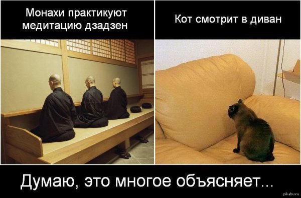 медитация прикол