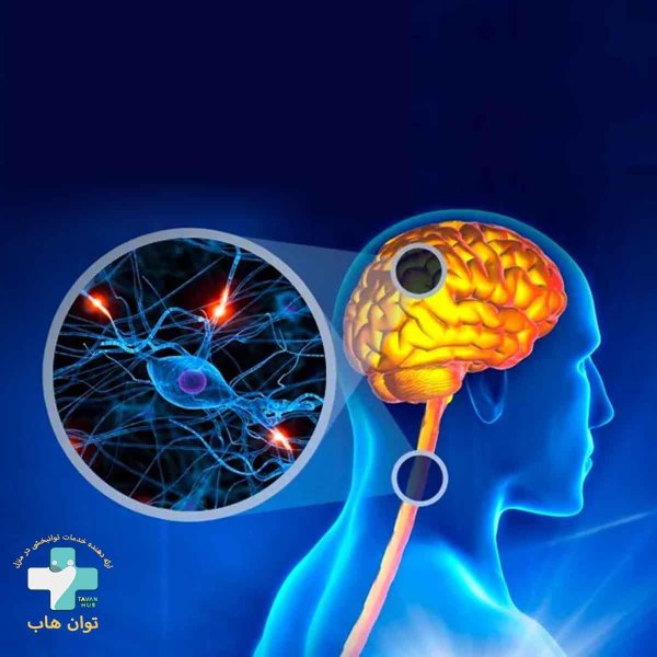 нервной системы