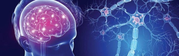 нейронные связи в мозге