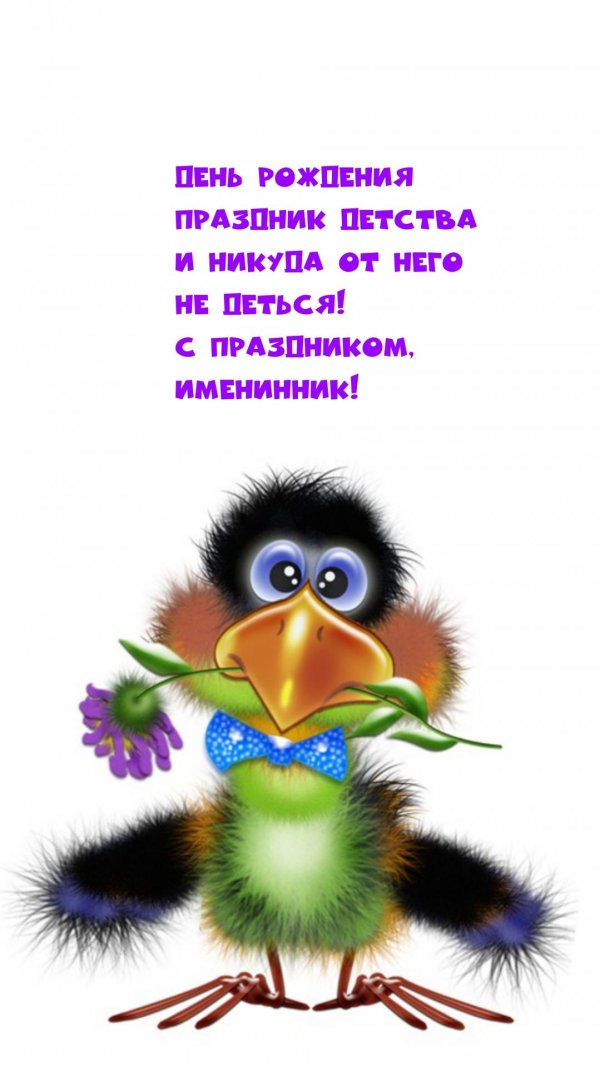 птицы мультяшные