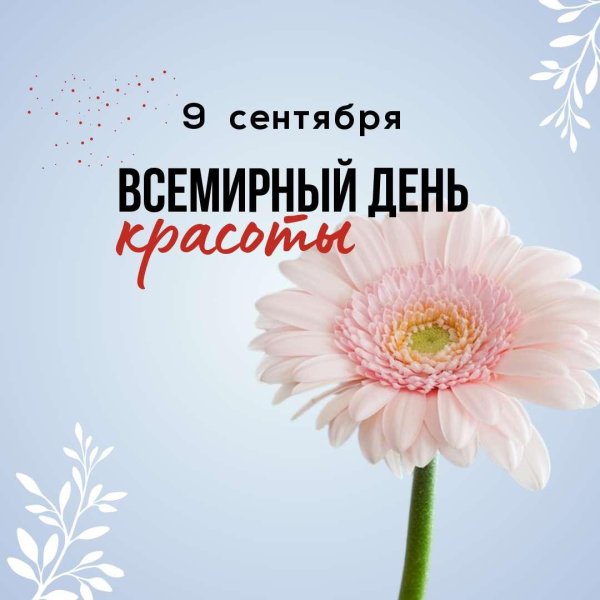 гербера розовая ксанаду