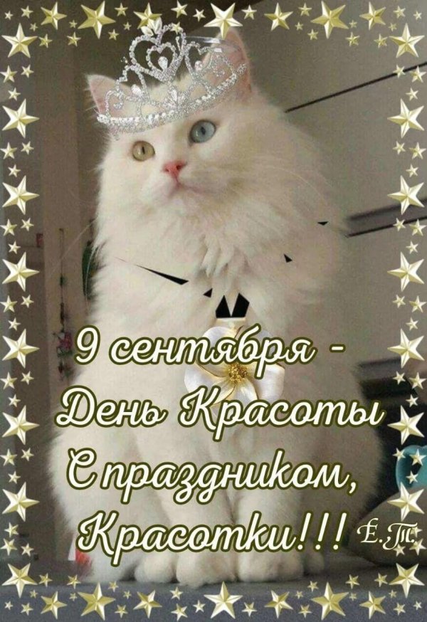 кот в короне