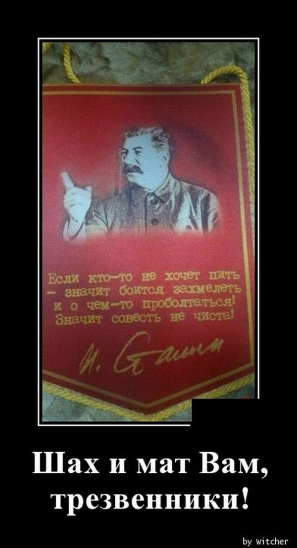 трезвенник юмор