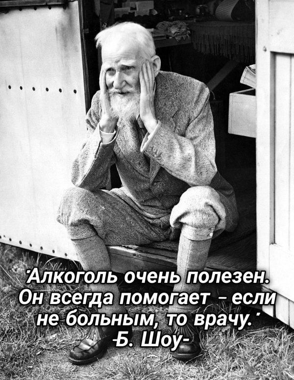 шоу бернард
