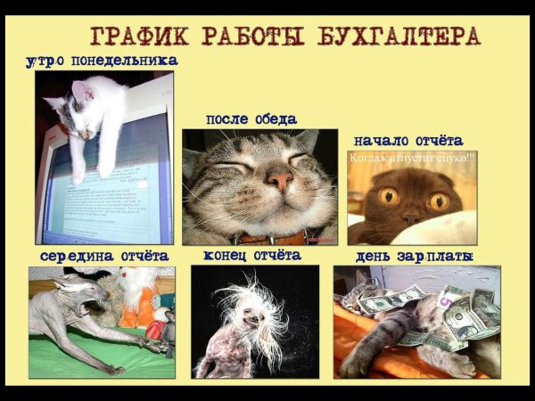 бухгалтер в отчетный период