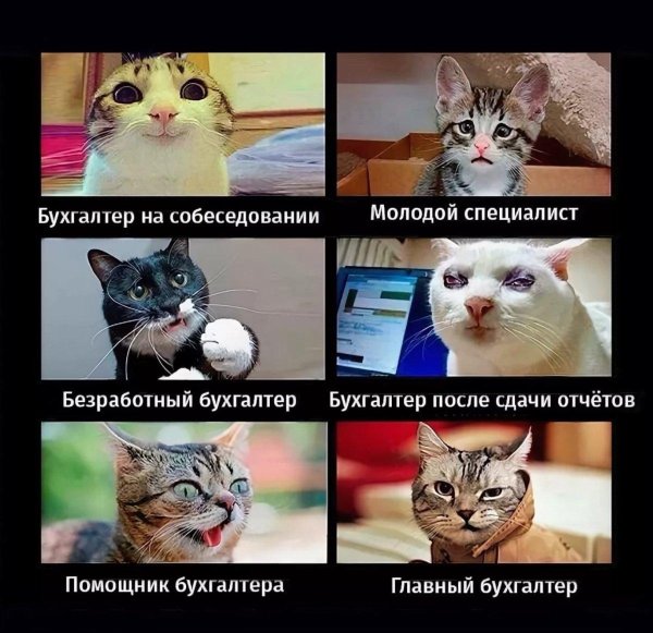приколы про бухгалтеров смешные