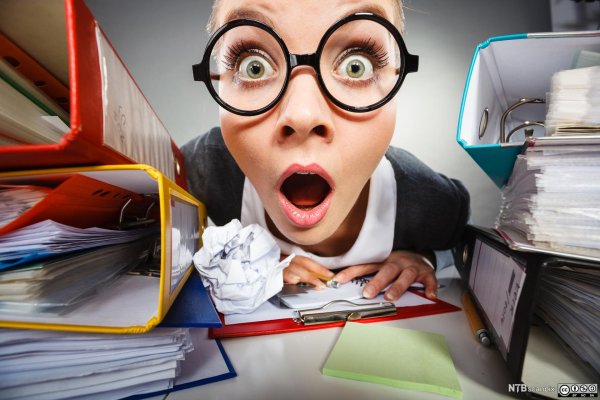 сумасшедшая работа