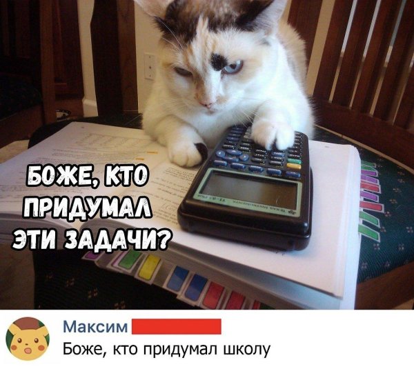 бухгалтерский юмор