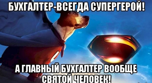 суперпес 2007