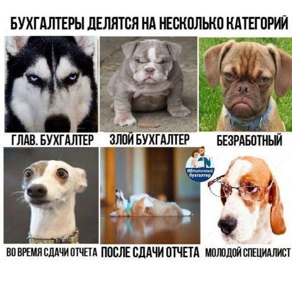 шутки про бухгалтерию