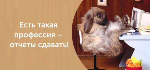 Бухгалтерия