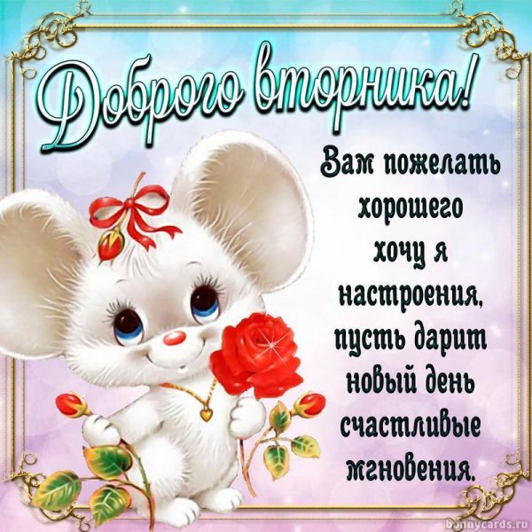 пожелание хорошего вторника