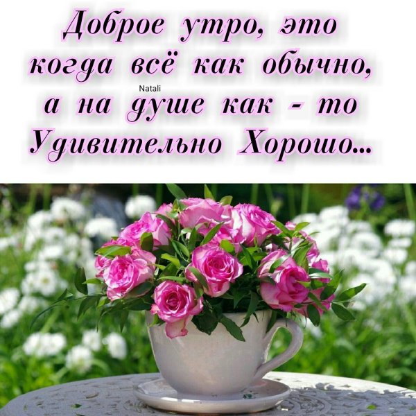 доброе летнее утро с пожеланиями со смыслом
