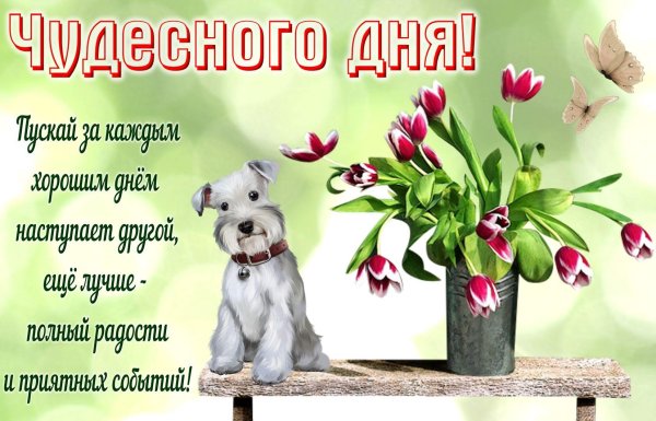 пожелания удачного дня