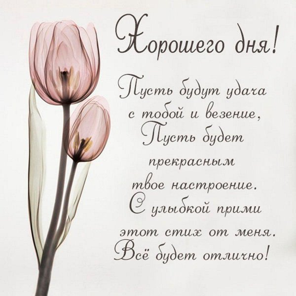 Добрый день со стихами