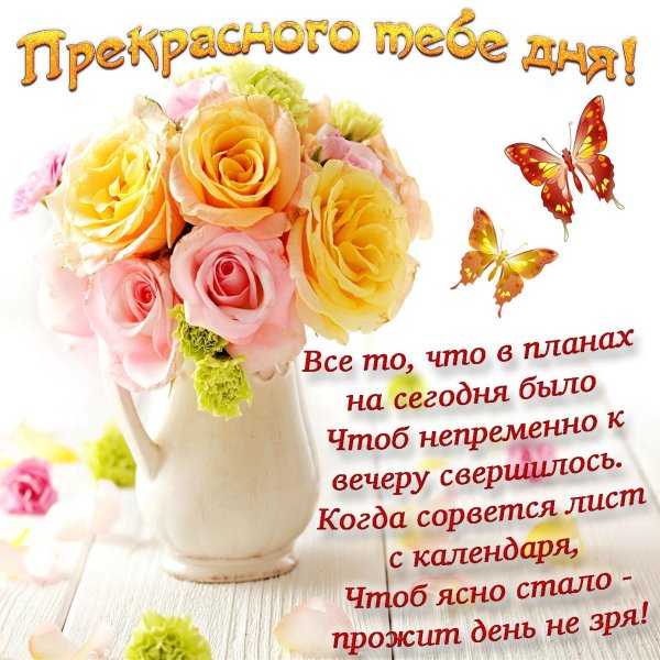 пожелания на день
