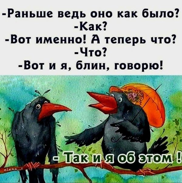 прикольная ворона