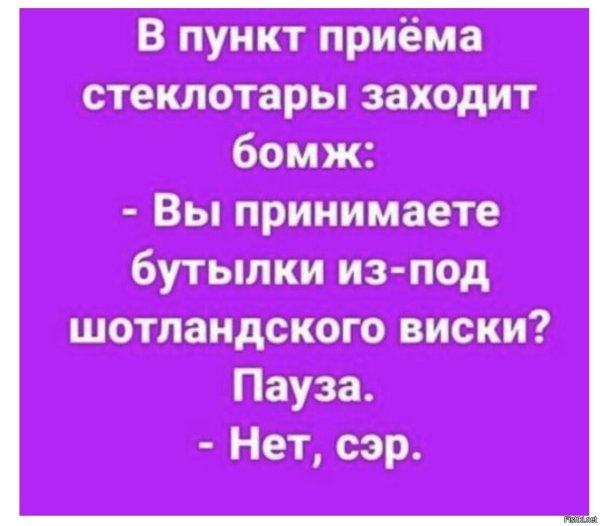 веселые высказывания