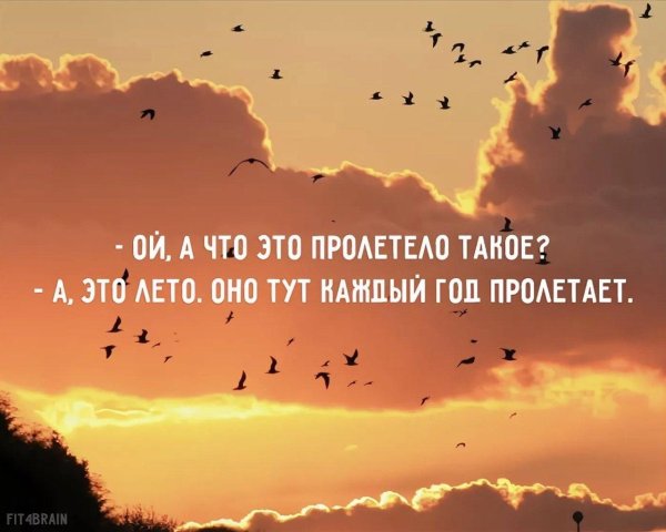 годы пролетают