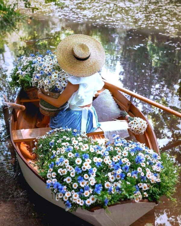 лето вдохновение