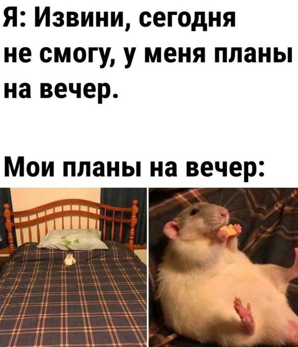мои планы