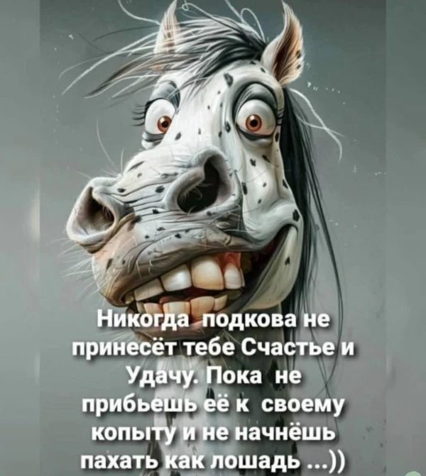 смешная фраза