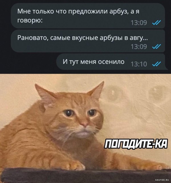 юмор приколы