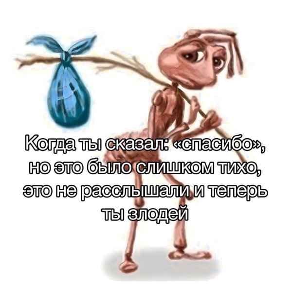 смешная цитата