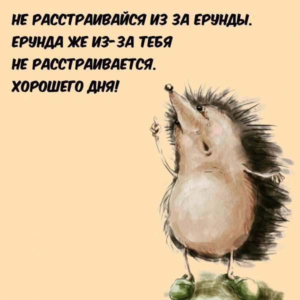 смешной ёжик