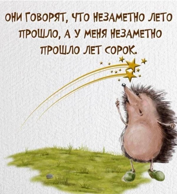 цитаты про заблуждение