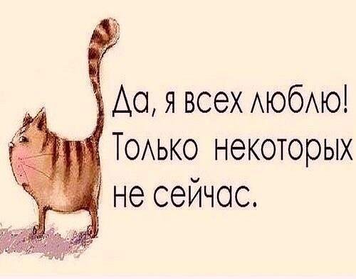 веселые высказывания
