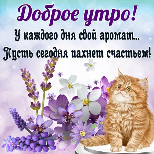 с добрейшим утром