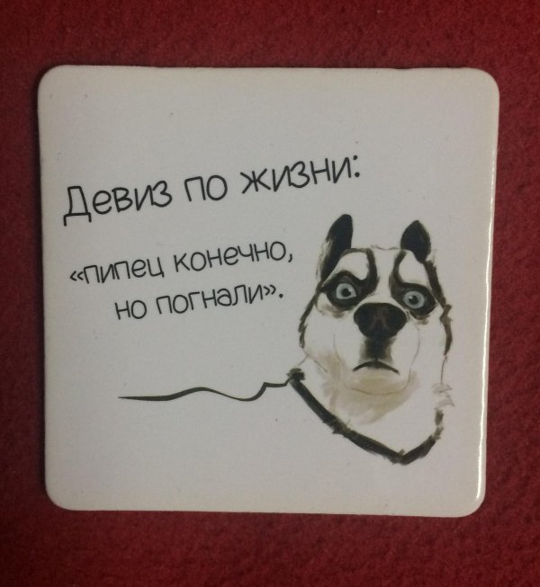 Девиз дня на каждый день