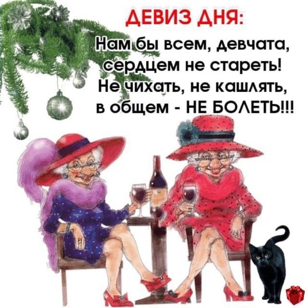 подружки старушки