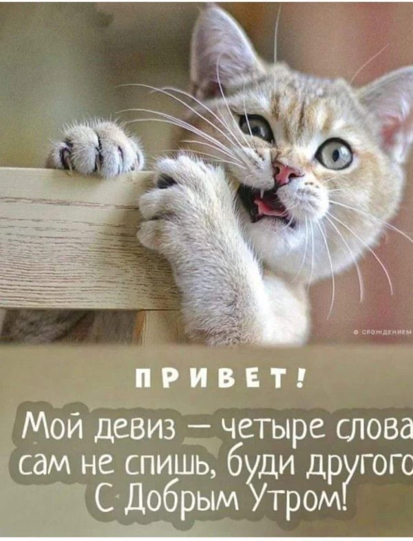 четыре слова