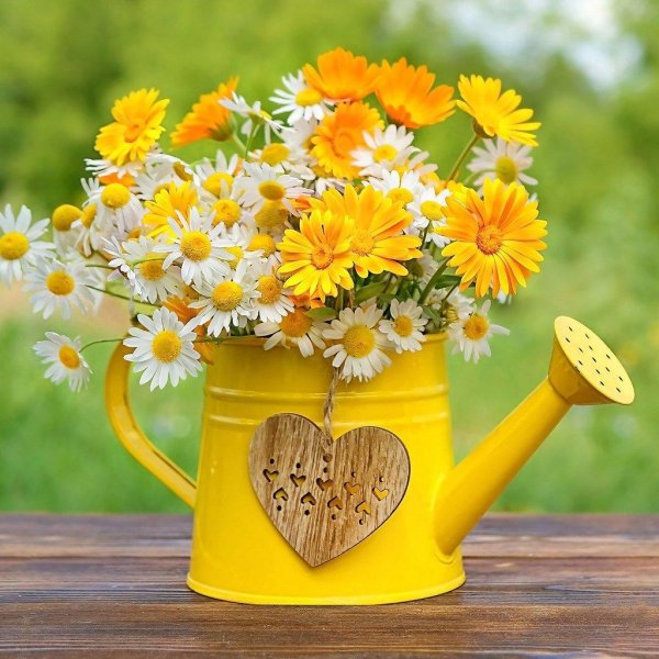 летнее настроение