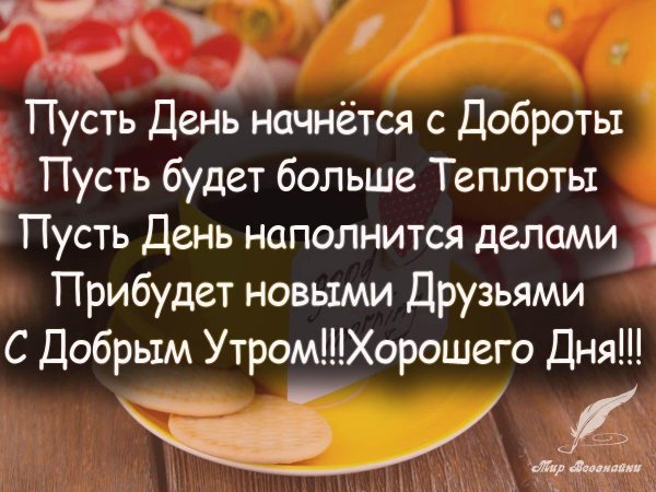 цитаты с добрым утром