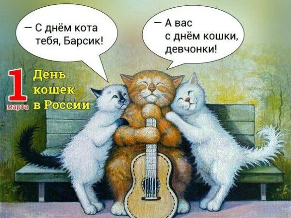 кошка поет