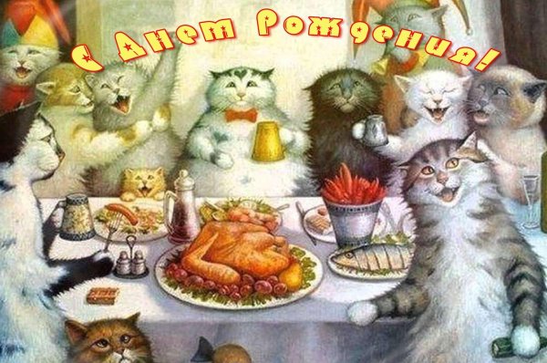 кот застолье