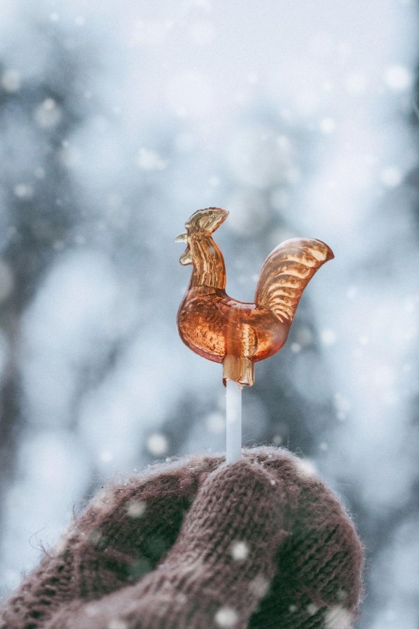 петушки леденцы