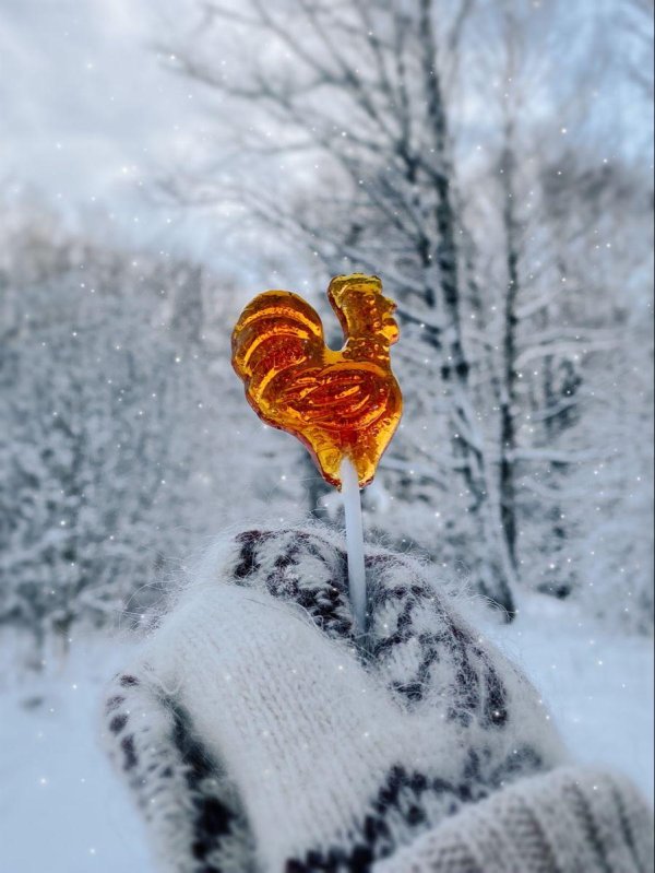 петушки леденцы