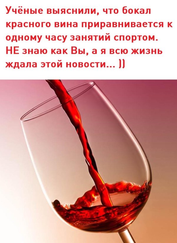 День красного вина 28 августа