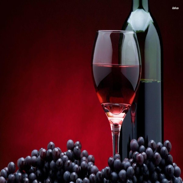 вино и виноград