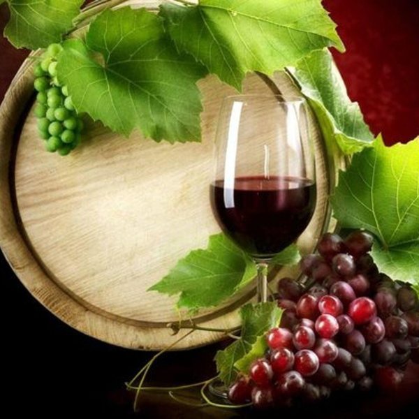 виноград таннат