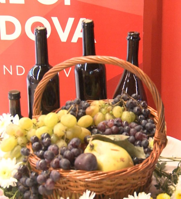 кахетия винодельни