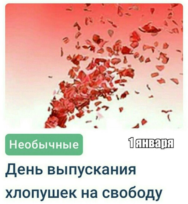 лепестки роз