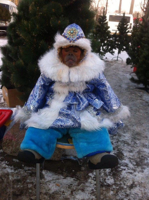 новогодняя обезьянка